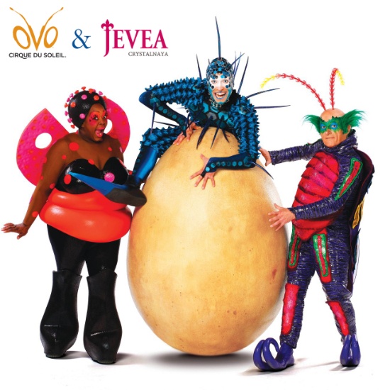 ЖИВЕЯ – Официальный Поставщик шоу OVO Cirque du Soleil ®