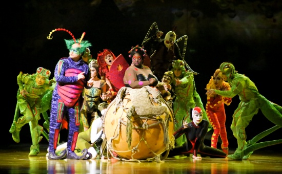 ЖИВЕЯ – Официальный Поставщик шоу OVO Cirque du Soleil ®