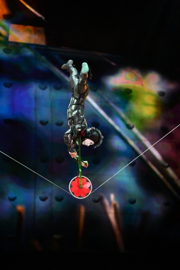 ЖИВЕЯ – Официальный Поставщик шоу OVO Cirque du Soleil ®