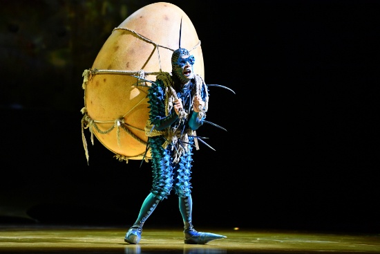 ЖИВЕЯ – Официальный Поставщик шоу OVO Cirque du Soleil ®