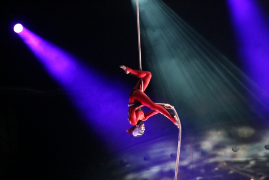 ЖИВЕЯ – Официальный Поставщик шоу OVO Cirque du Soleil ®