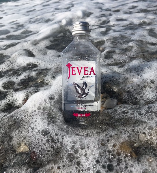 Jevea партнёр полумарафона на спортивных колясках