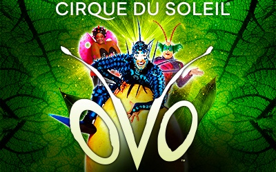ЖИВЕЯ – Официальный Поставщик шоу OVO Cirque du Soleil ®