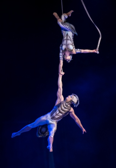 ЖИВЕЯ – Официальный Поставщик шоу OVO Cirque du Soleil ®