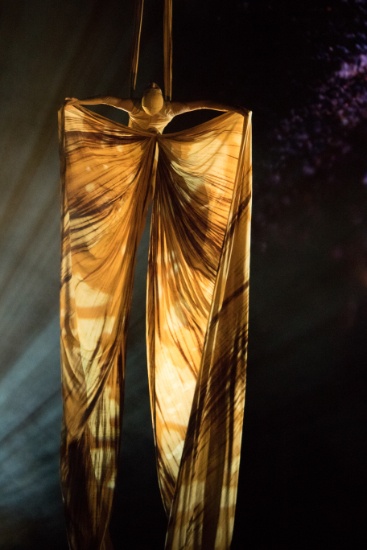 ЖИВЕЯ – Официальный Поставщик шоу OVO Cirque du Soleil ®
