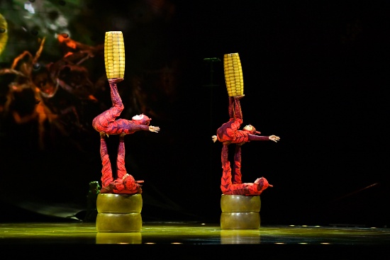 ЖИВЕЯ – Официальный Поставщик шоу OVO Cirque du Soleil ®
