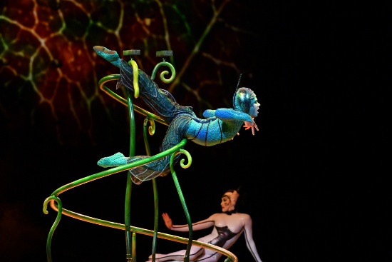 ЖИВЕЯ – Официальный Поставщик шоу OVO Cirque du Soleil ®